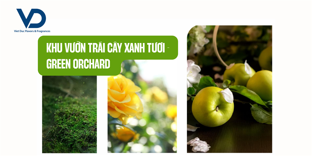 huongtaolexanhmatchodaugoisuatam